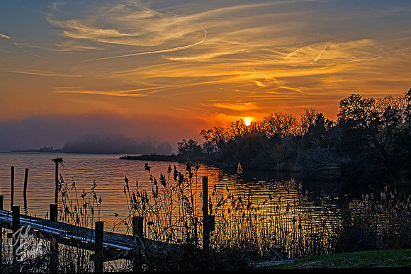 Eastern Shore MD