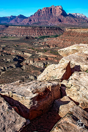 Zion - Wire Mesa