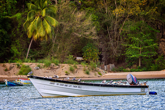 _JS14460-Edit