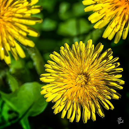 _JS41662-Edit-Edit