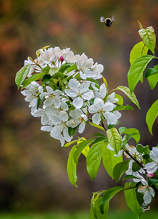 _JS41652-Edit-Edit