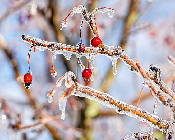 _JS13203-Edit