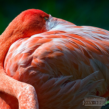 _JS46376-Edit