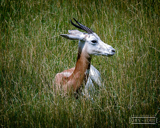 _JS46488-Edit