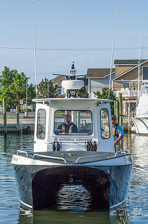 FB_JS46876-Edit