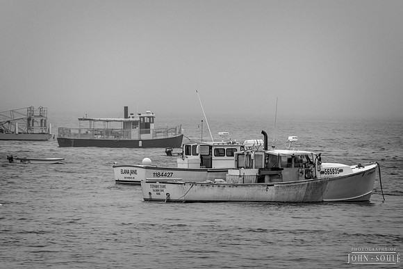 Lobster Boats, Bar Harbor (B&W)