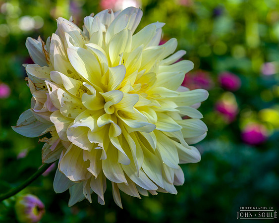Thuya Gardens, Acadia