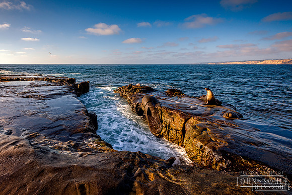 La Jolla Cove 2
