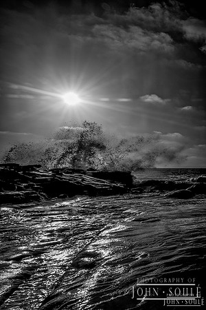 La Jolla BW