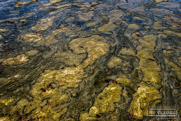 Low Tide