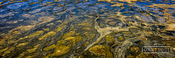 Low Tide (12x36)