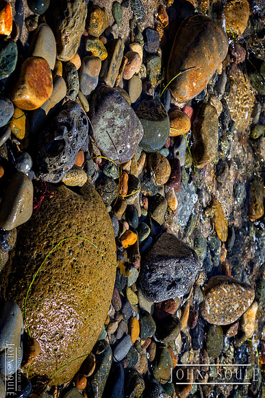 Cabrillo Tidal Pool 1