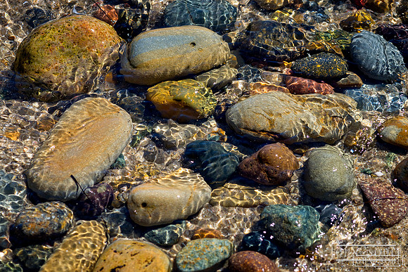 Cabrillo Tidal Pool 2