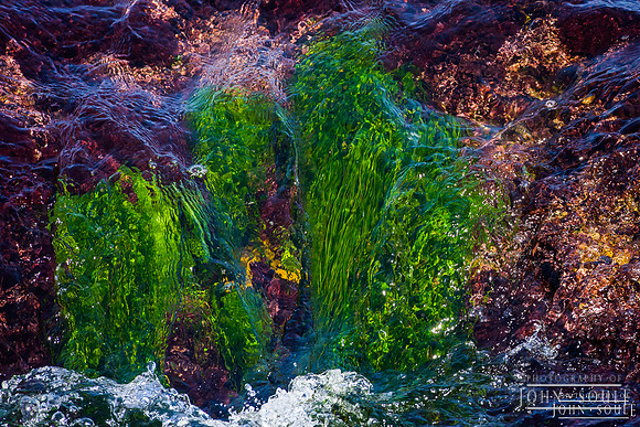 The Colors of the Sea