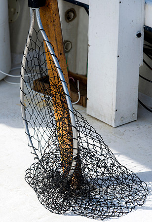 Crab net