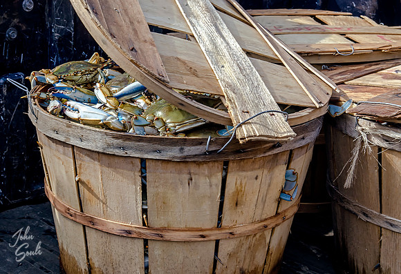 Bushel Baskets MD Blue Crab