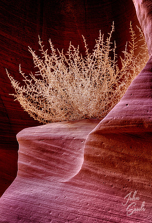 Canyon X, Page, Az