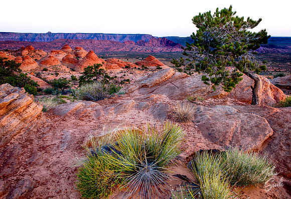 Sunrise at Little Cut (Hoodoos), Page, Az