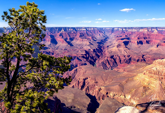 Grand Canyon, South Rim Az