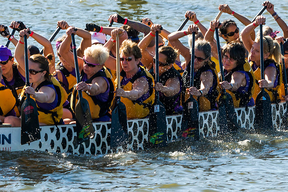 Dragon Boat Regatta 2013-#5154