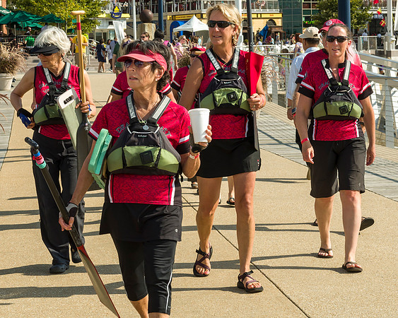 Dragon Boat Regatta 2013-#3449