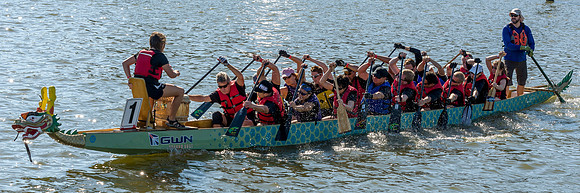 Dragon Boat Regatta 2013-#5274