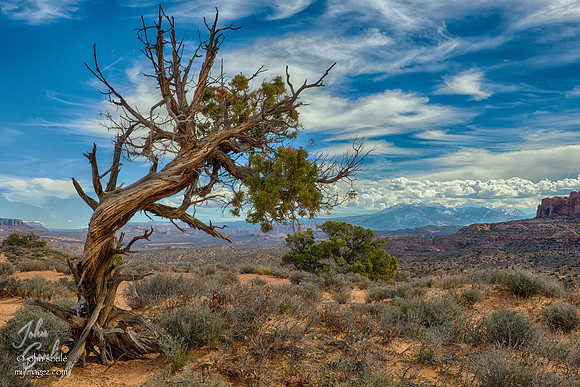 La Sal Mountains, Utah