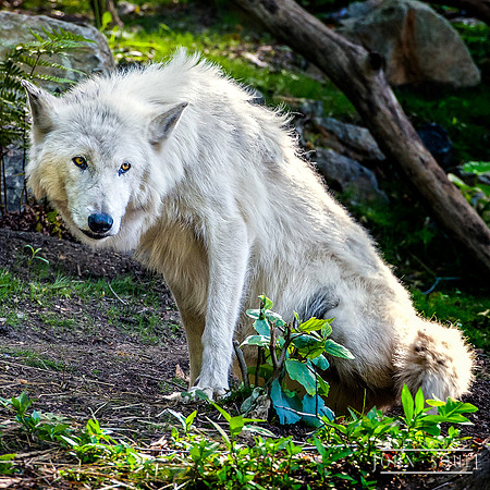 _JAS3029-Edit-Edit-Edit