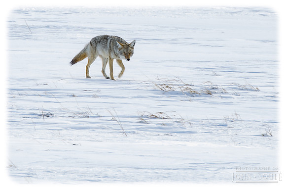 _JAS6135-Edit-Edit
