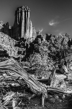 Fisher Towers, Utah