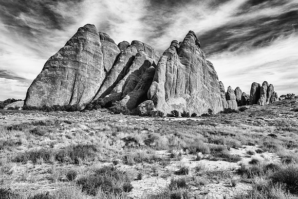 _JAS0449-Edit