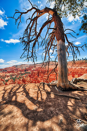 Bryce Canyon - Rim Trail (Sunset Point)