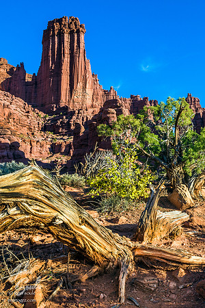 Fisher Towers, Utah