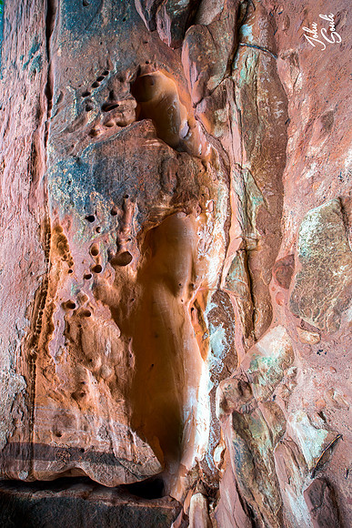 Zion - Lower Emerald Pool Trail II