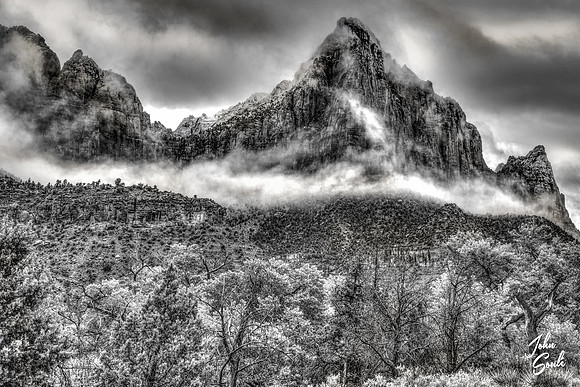 Zion - Snowfall on the Watchman (B&W)