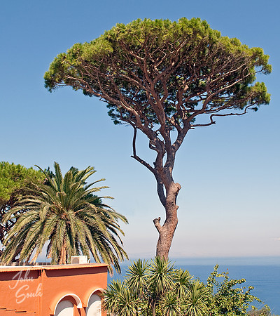 Capri