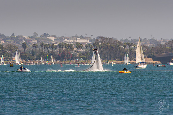 _JAS7290-2