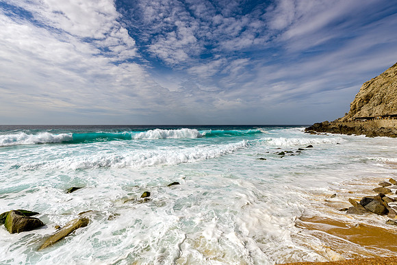 _JS12838-