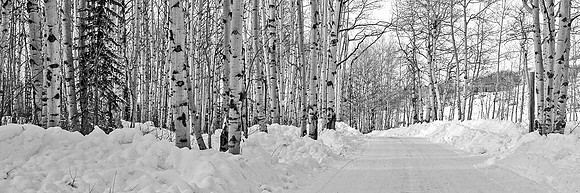 DSC_0018_