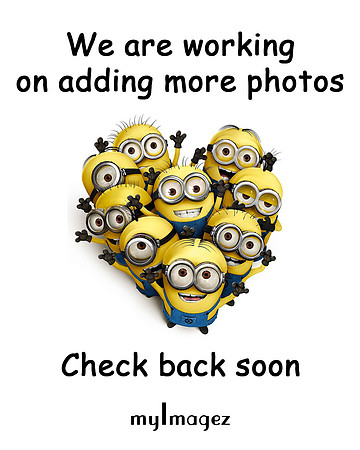 More-Photos
