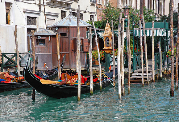 Venice