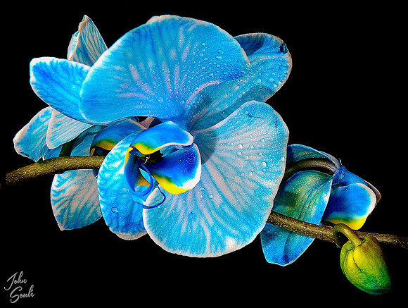 ETSY-53