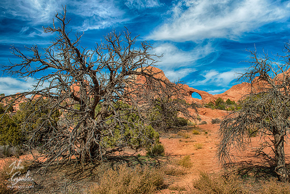 Sand Dune Arch